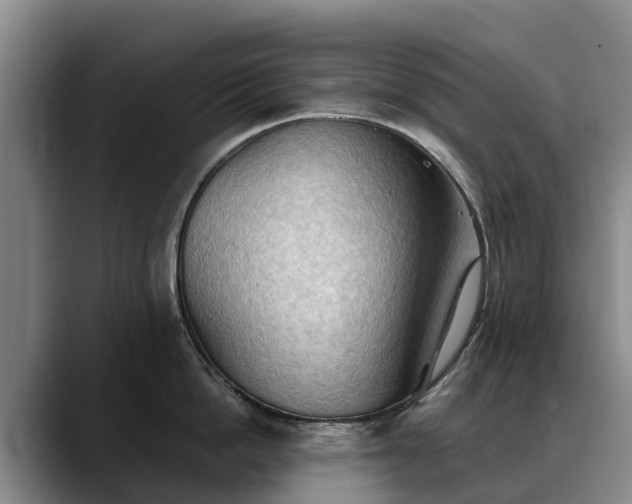 X0000088490862200705291646