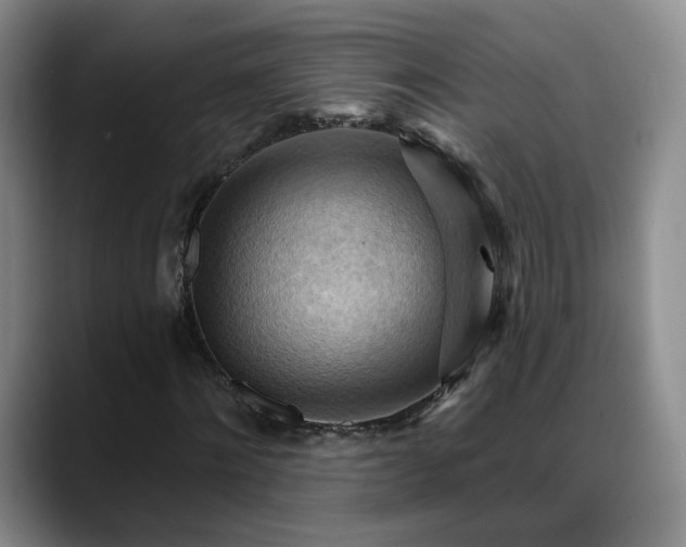 X0000088490868200705291646