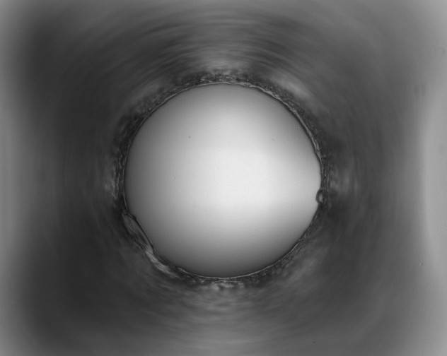 X0000088490869200705291646