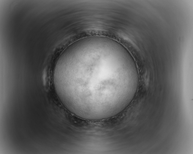 X0000088490870200705291646
