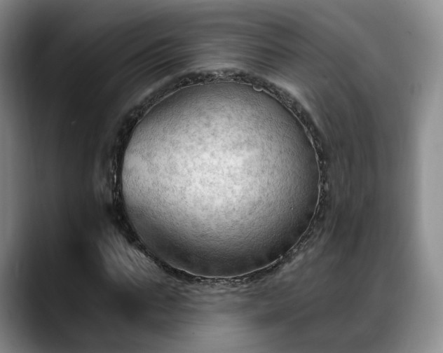 X0000088490871200705291646