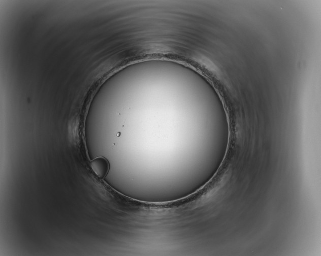 X0000088490873200705291645
