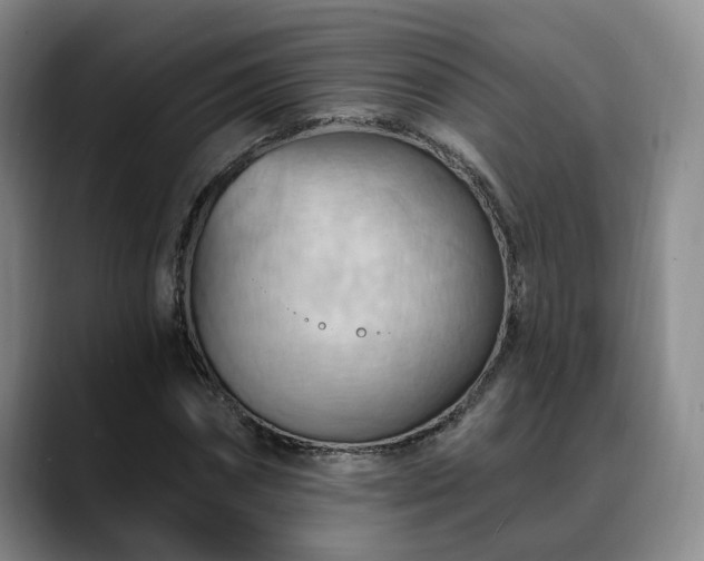 X0000088490874200705291645