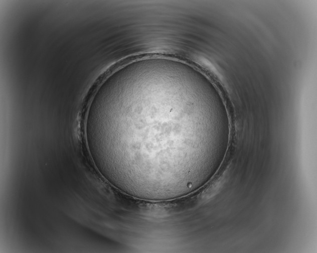 X0000088490875200705291645