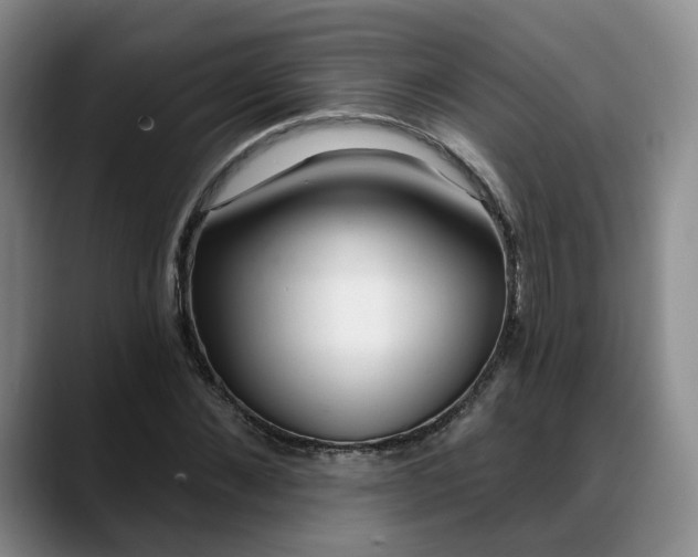 X0000088490876200705291645