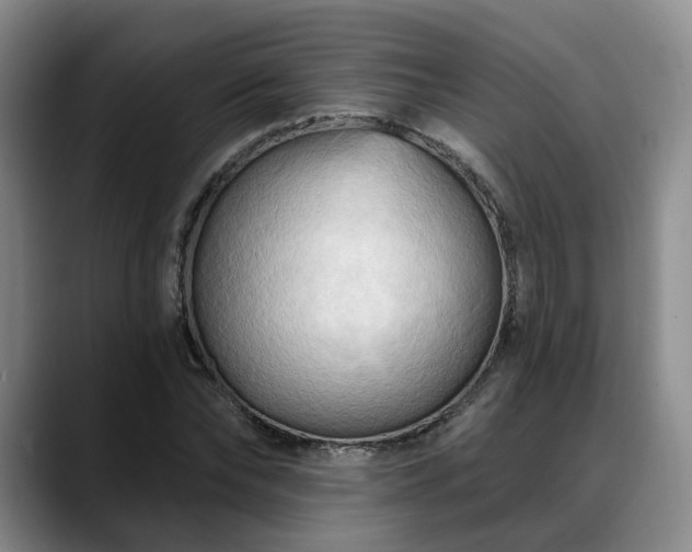 X0000088490878200705291645