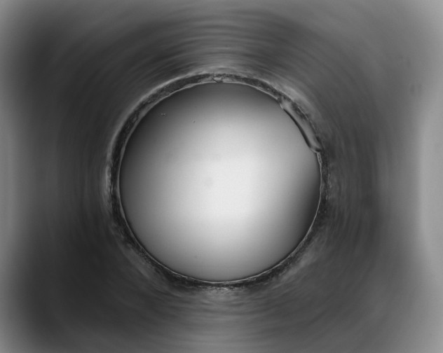 X0000088490880200705291645