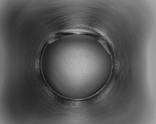 X0000088490881200705291645