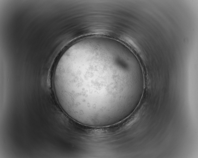 X0000088490883200705291645