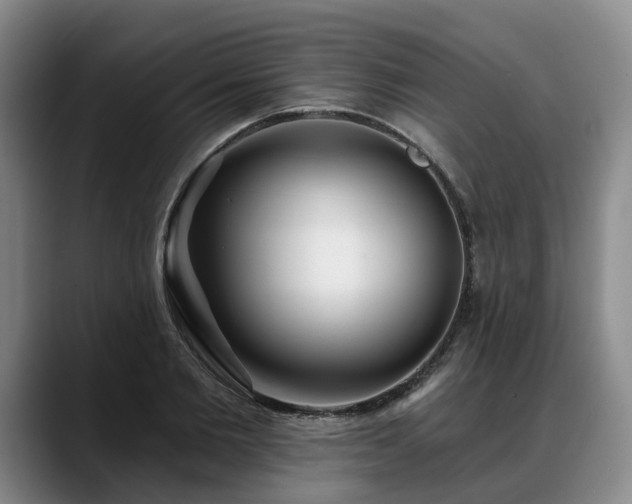 X0000088490885200705291645