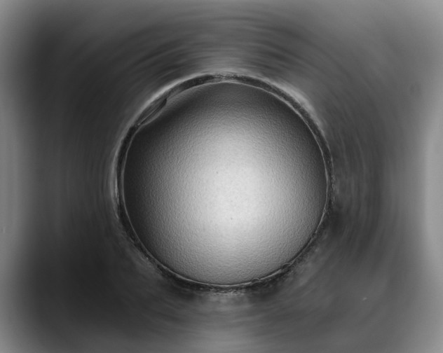 X0000088490887200705291645