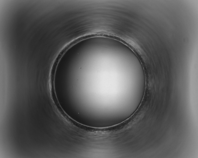 X0000088490888200705291645