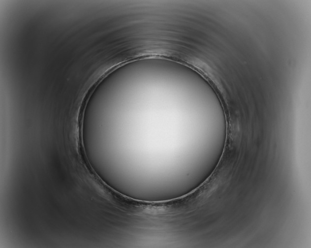 X0000088490890200705291645