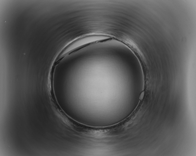 X0000088490892200705291645