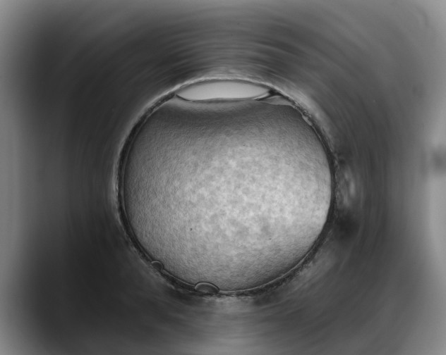 X0000088490896200705291645