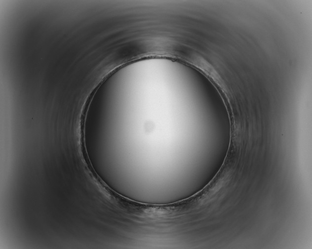 X0000088490898200705291645