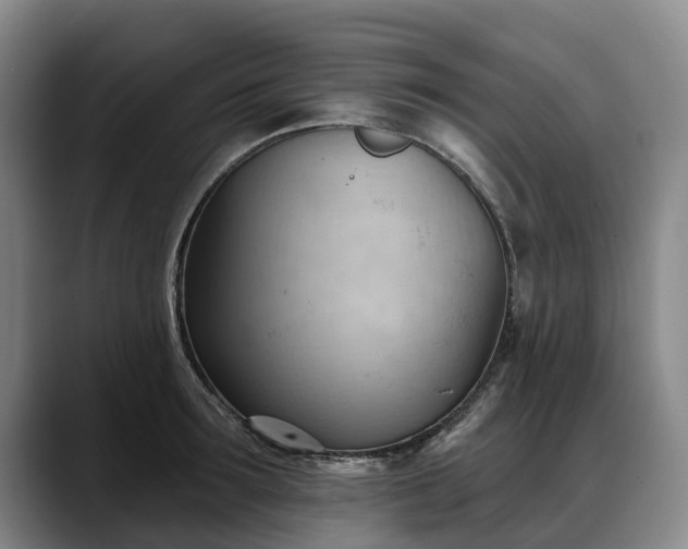 X0000088490899200705291645