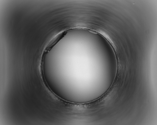 X0000088490901200705291645