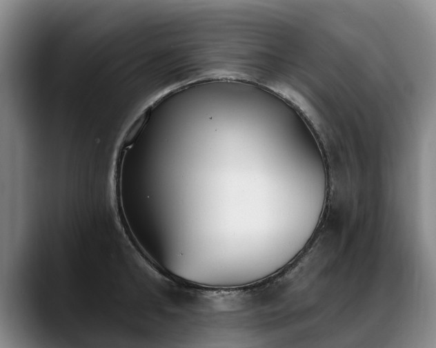 X0000088490902200705291645