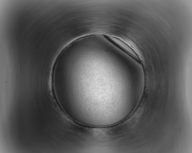 X0000088490904200705291645