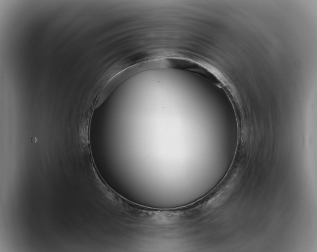 X0000088490905200705291645