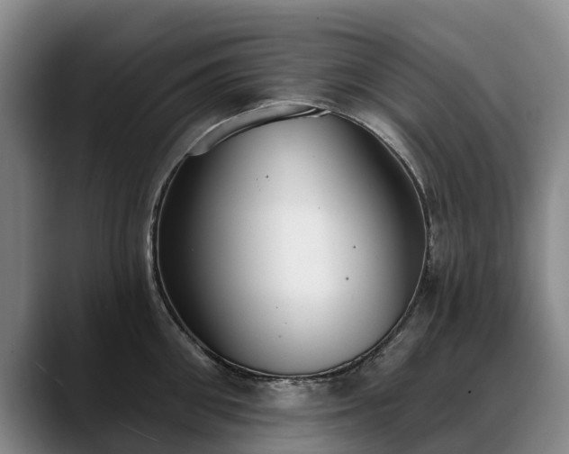 X0000088490906200705291645
