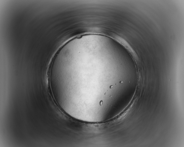 X0000088490908200705291645