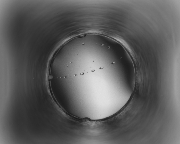 X0000088490910200705291645