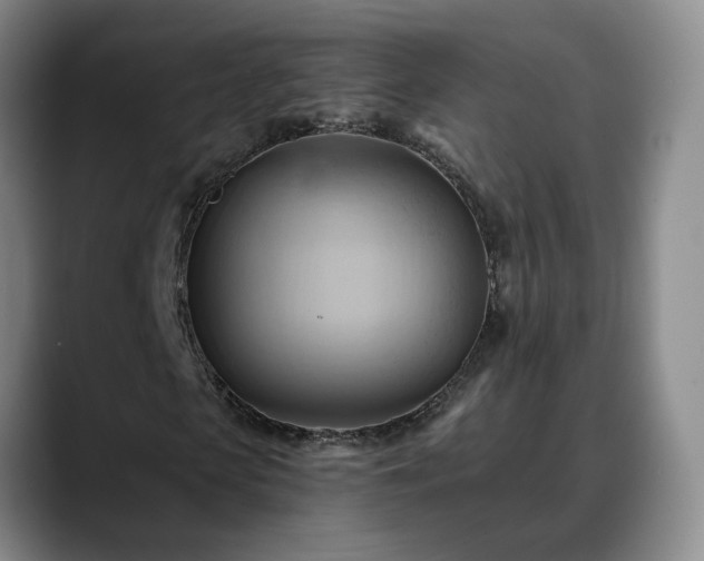 X0000088490913200705291644