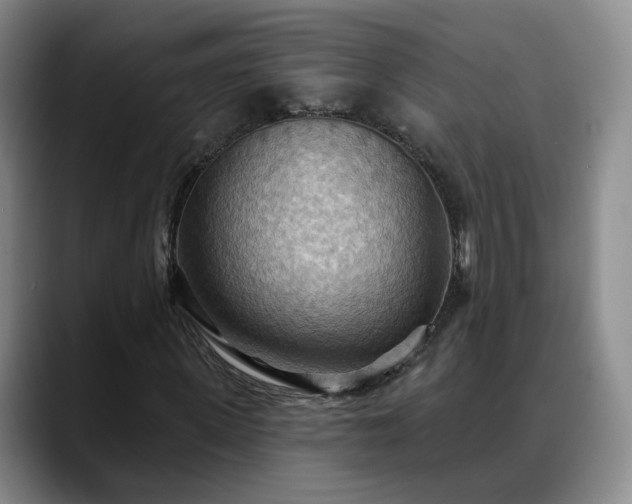 X0000088490915200705291644