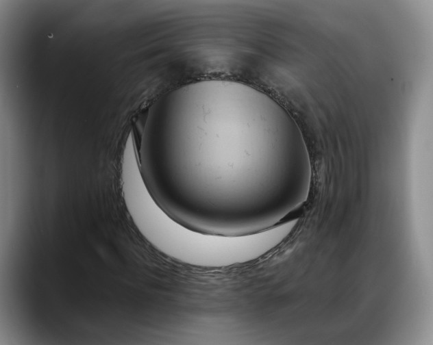 X0000088490916200705291644