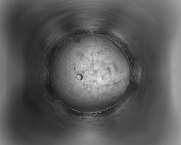 X0000088490917200705291644