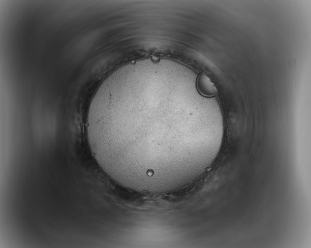 X0000088490918200705291644