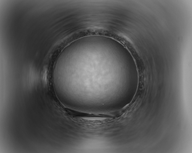 X0000088490919200705291644