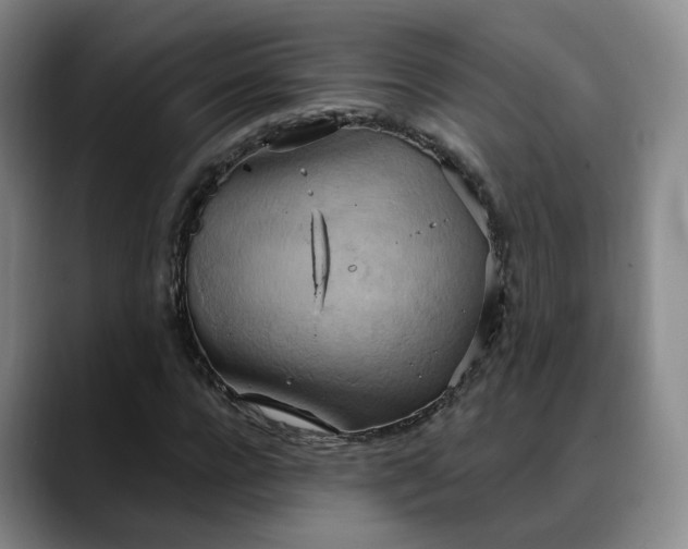 X0000088490920200705291644