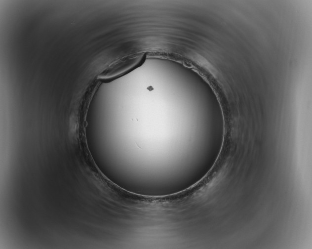 X0000088490922200705291644