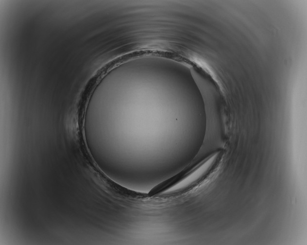 X0000088490923200705291644