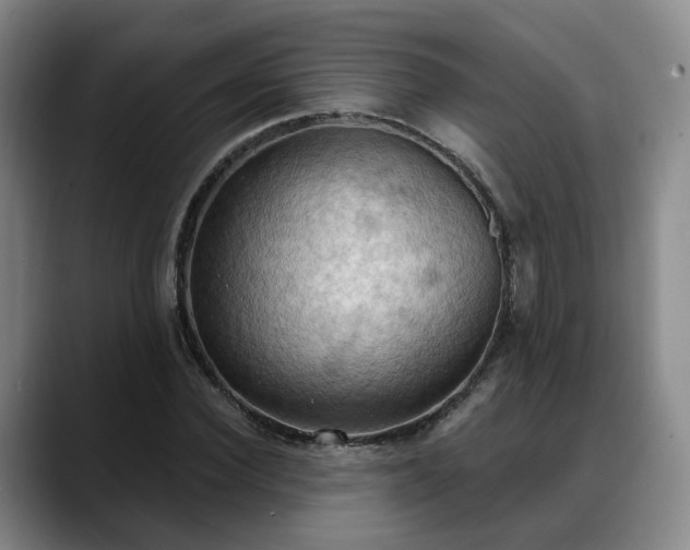 X0000088490924200705291644