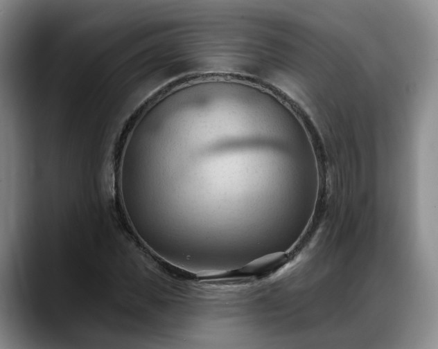 X0000088490925200705291644