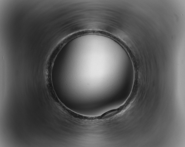 X0000088490926200705291644