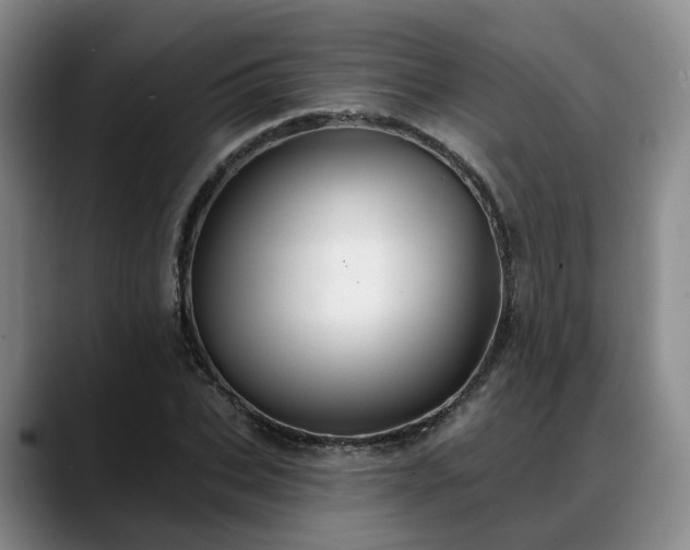 X0000088490927200705291644