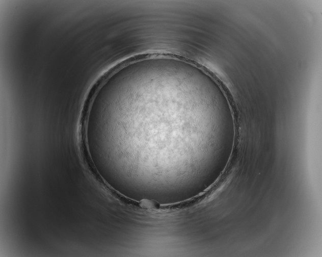 X0000088490928200705291644