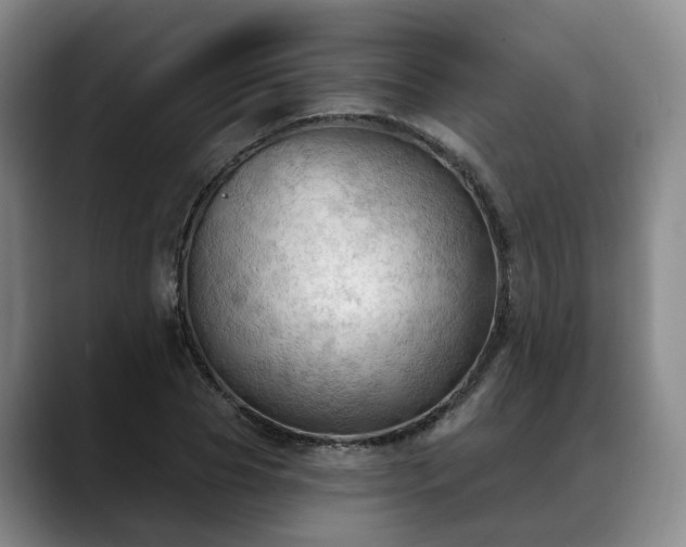 X0000088490929200705291644