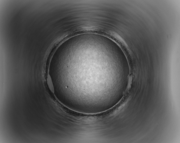 X0000088490930200705291644