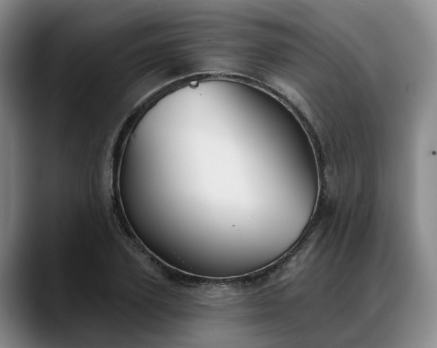 X0000088490931200705291644
