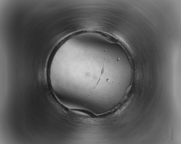 X0000088490932200705291644
