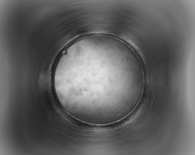 X0000088490933200705291644