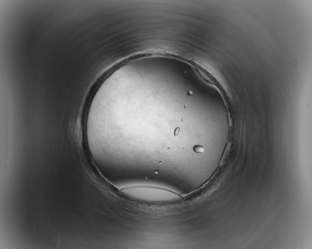 X0000088490936200705291644
