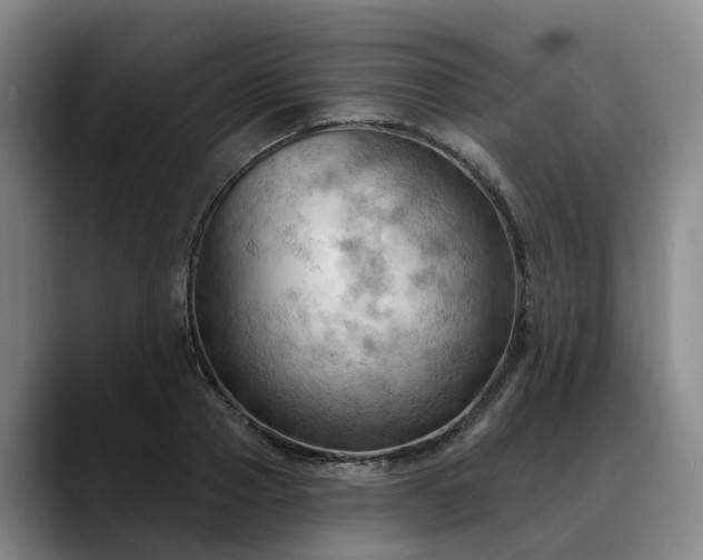 X0000088490937200705291644
