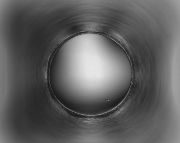 X0000088490938200705291645